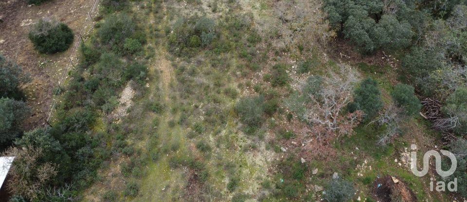 Terrain à Chãos de 2 160 m²