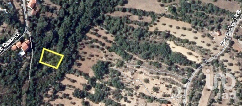 Land in Chãos of 800 m²