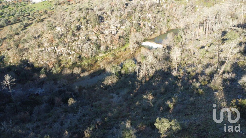 Land in Freixianda, Ribeira do Fárrio e Formigais of 13,073 m²