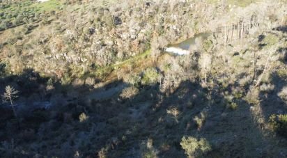 Terrain à Freixianda, Ribeira do Fárrio e Formigais de 13 073 m²