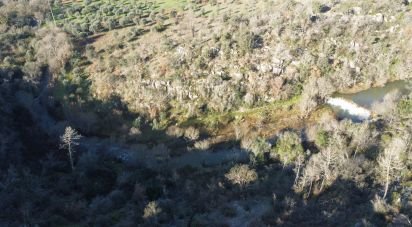 Terrain à Freixianda, Ribeira do Fárrio e Formigais de 13 073 m²