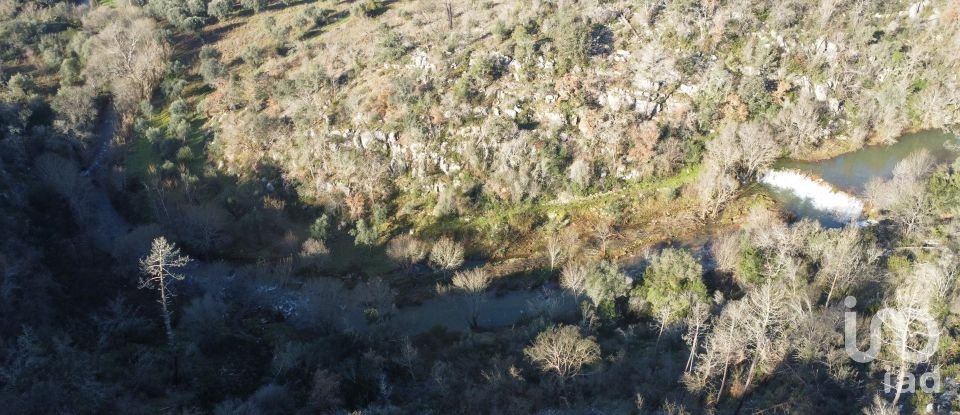 Land in Freixianda, Ribeira do Fárrio e Formigais of 13,073 m²