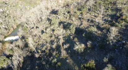 Terrain à Freixianda, Ribeira do Fárrio e Formigais de 13 073 m²