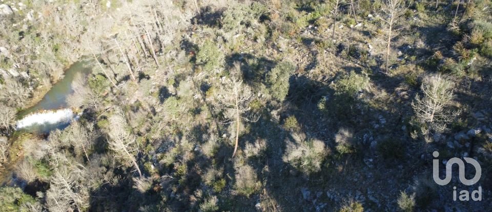 Land in Freixianda, Ribeira do Fárrio e Formigais of 13,073 m²