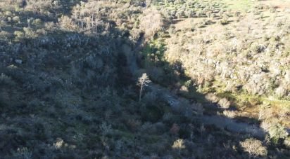 Terrain à Freixianda, Ribeira do Fárrio e Formigais de 13 073 m²