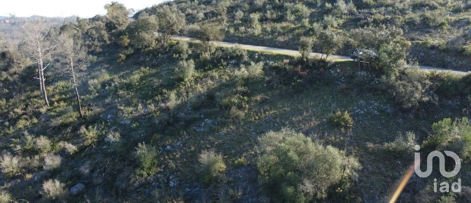 Land in Freixianda, Ribeira do Fárrio e Formigais of 13,073 m²