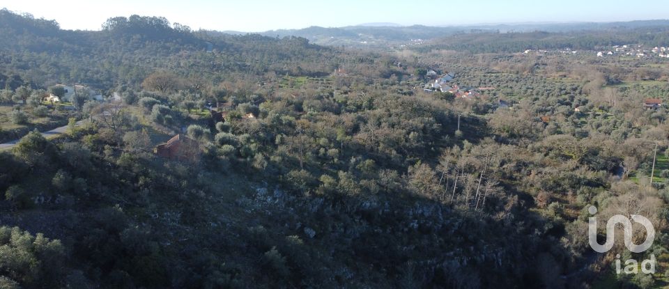 Land in Freixianda, Ribeira do Fárrio e Formigais of 13,073 m²