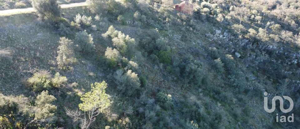 Land in Freixianda, Ribeira do Fárrio e Formigais of 13,073 m²