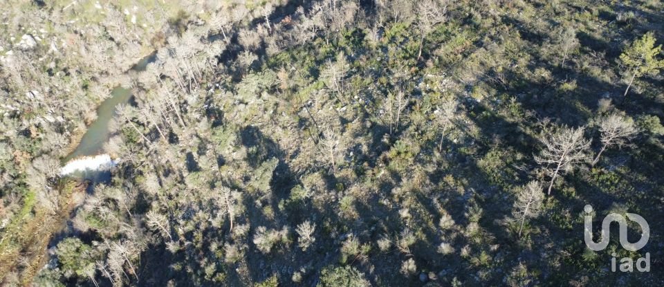 Land in Freixianda, Ribeira do Fárrio e Formigais of 13,073 m²