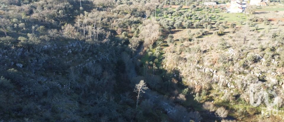 Land in Freixianda, Ribeira do Fárrio e Formigais of 13,073 m²