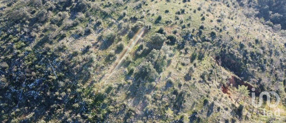 Land in Freixianda, Ribeira do Fárrio e Formigais of 13,073 m²