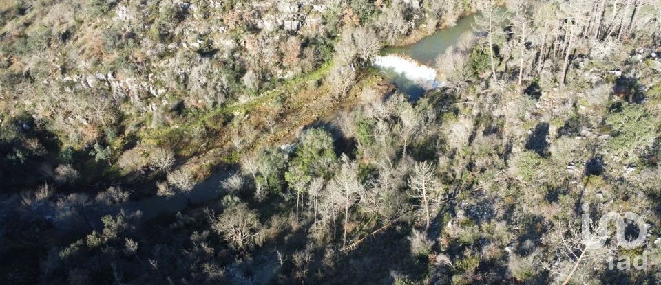 Land in Freixianda, Ribeira do Fárrio e Formigais of 13,073 m²