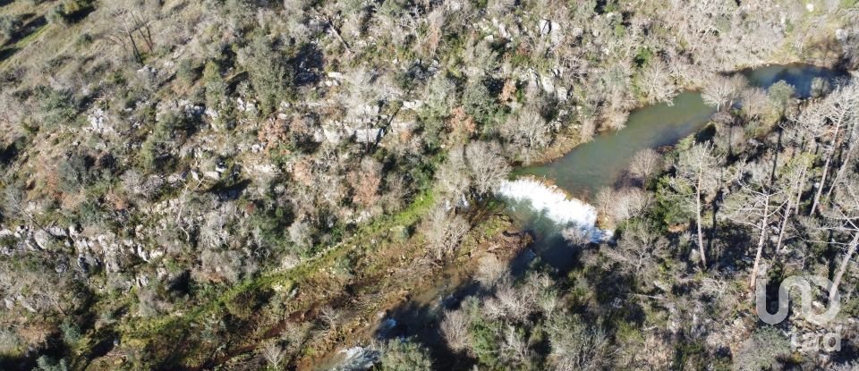 Land in Freixianda, Ribeira do Fárrio e Formigais of 13,073 m²