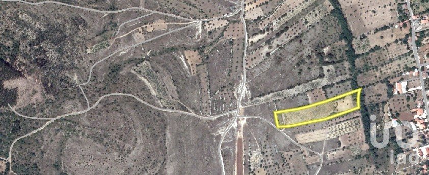 Terrain à Chãos de 9 160 m²