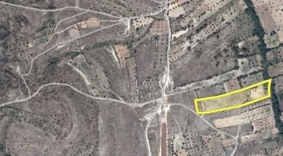 Terrain à Chãos de 9 160 m²