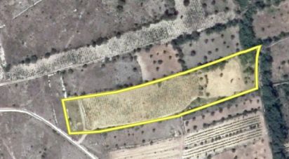 Terrain à Chãos de 9 160 m²