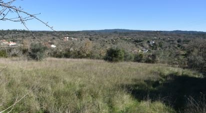 Terrain à Chãos de 9 160 m²