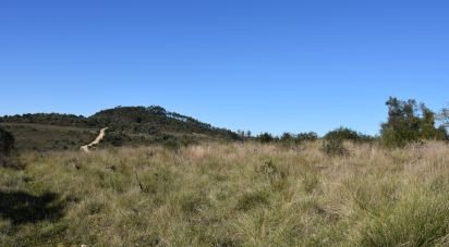 Terrain à Chãos de 9 160 m²