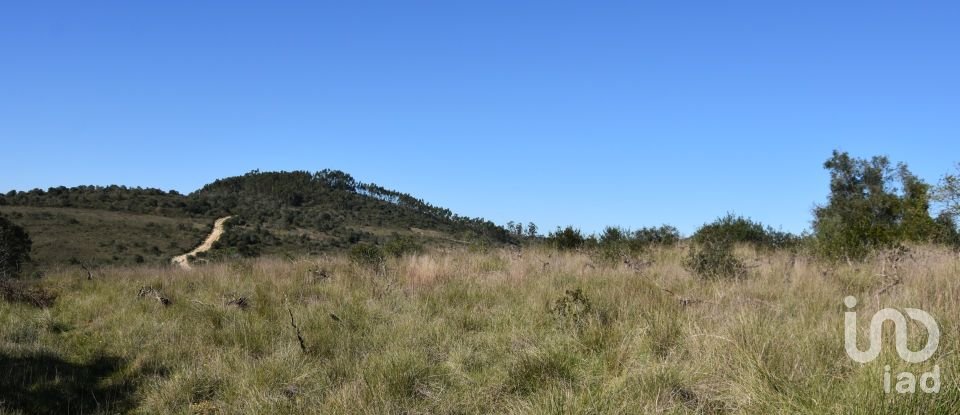 Terrain à Chãos de 9 160 m²