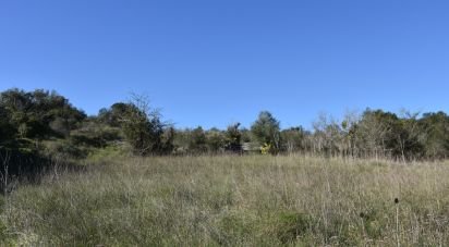 Terrain à Chãos de 9 160 m²