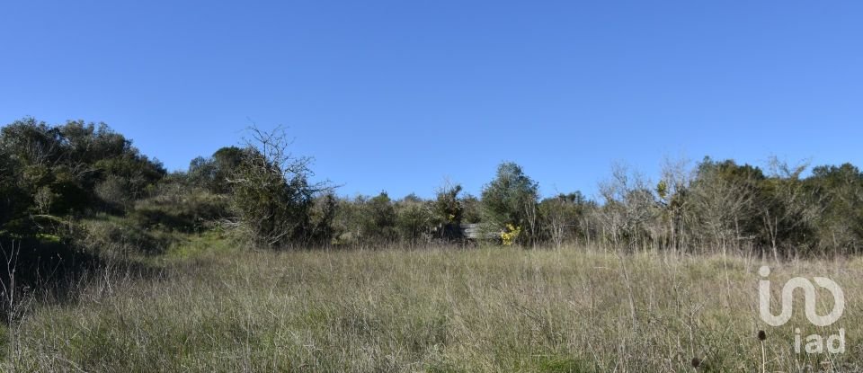 Terrain à Chãos de 9 160 m²