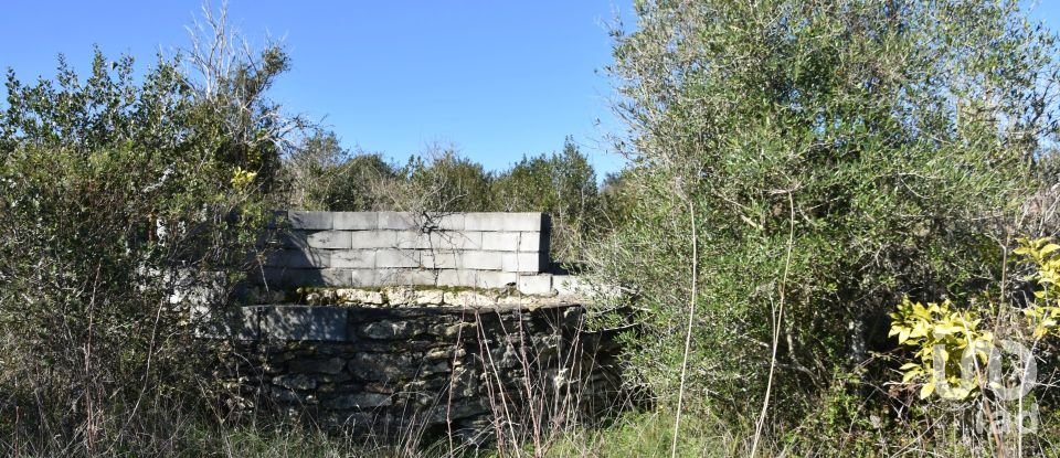 Terrain à Chãos de 9 160 m²