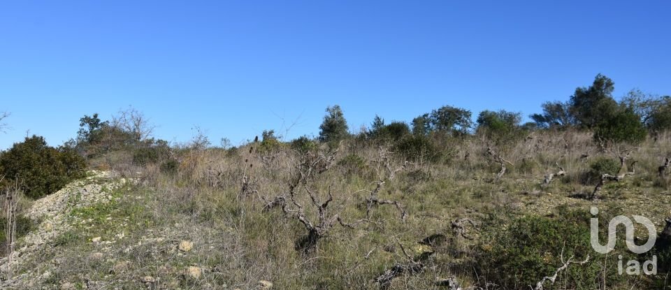 Terrain à Chãos de 9 160 m²