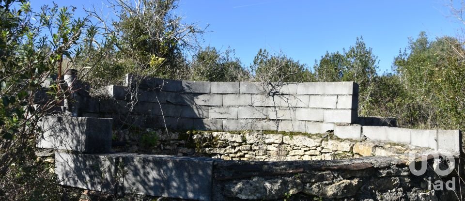 Terrain à Chãos de 9 160 m²