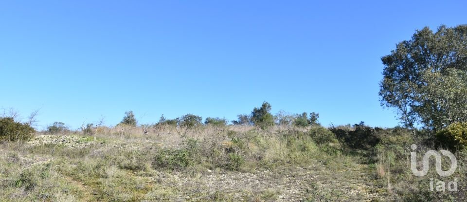 Terrain à Chãos de 9 160 m²