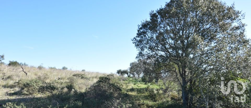 Terrain à Chãos de 9 160 m²