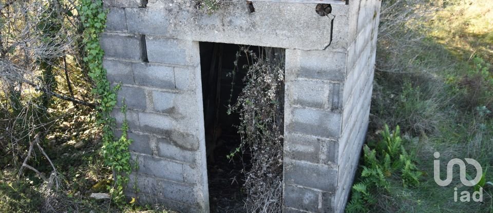 Terrain à Chãos de 9 160 m²