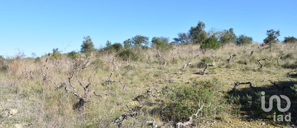 Terrain à Chãos de 9 160 m²