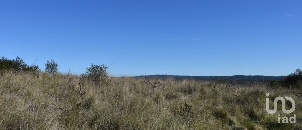 Terrain à Chãos de 9 160 m²