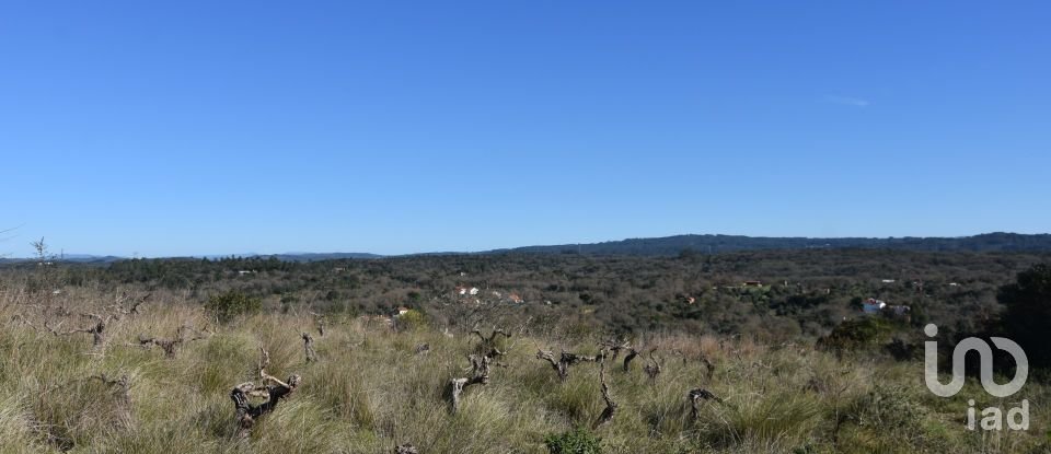 Terrain à Chãos de 9 160 m²