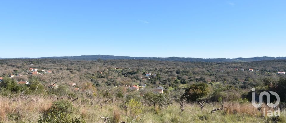 Terrain à Chãos de 9 160 m²