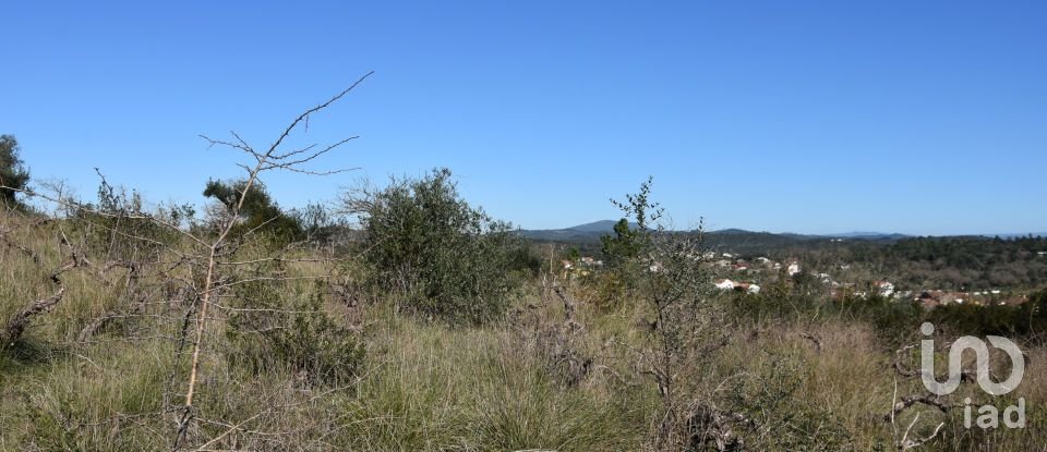 Terrain à Chãos de 9 160 m²