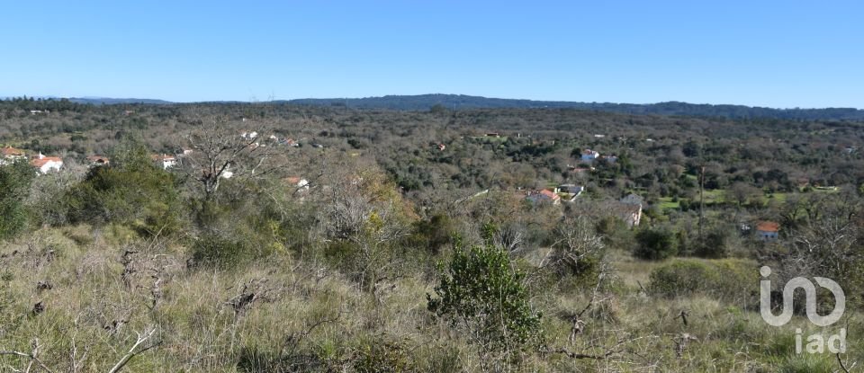 Terrain à Chãos de 9 160 m²