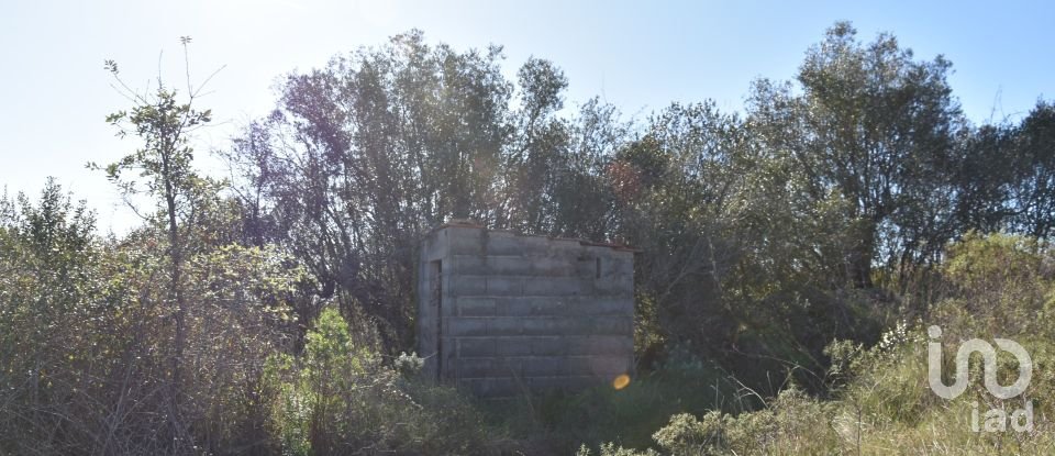 Terrain à Chãos de 9 160 m²