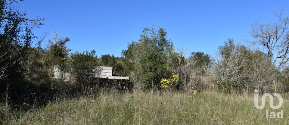 Terrain à Chãos de 9 160 m²