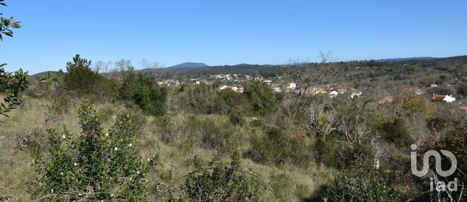 Terrain à Chãos de 9 160 m²