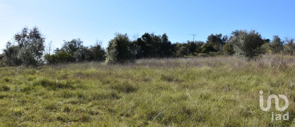 Terrain à Chãos de 9 160 m²