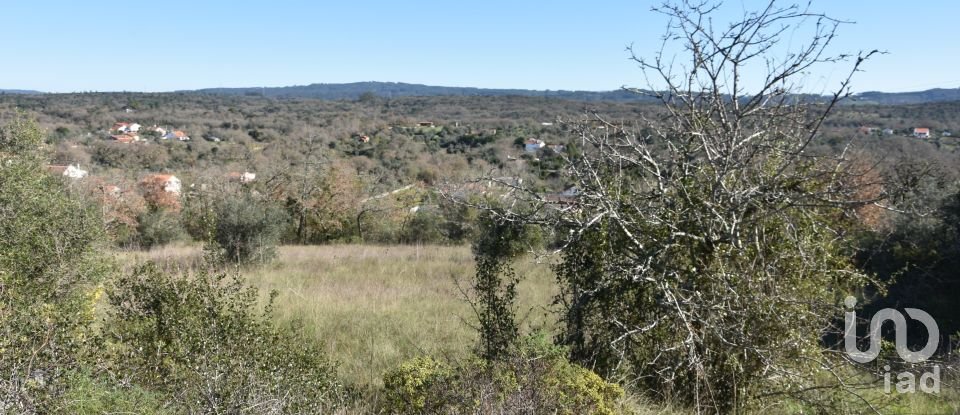 Terrain à Chãos de 9 160 m²