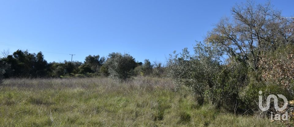 Terrain à Chãos de 9 160 m²