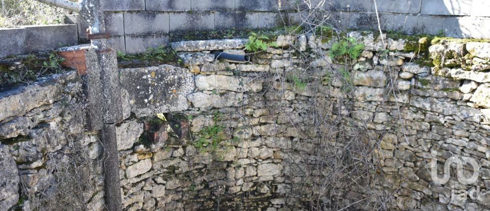 Terrain à Chãos de 9 160 m²