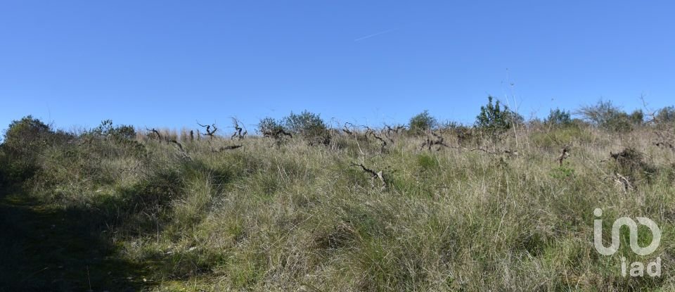 Terrain à Chãos de 9 160 m²