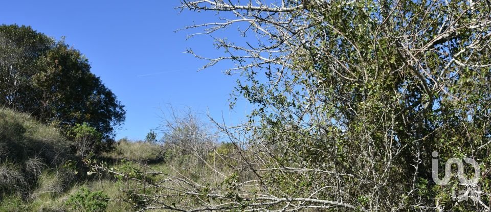 Terrain à Chãos de 9 160 m²