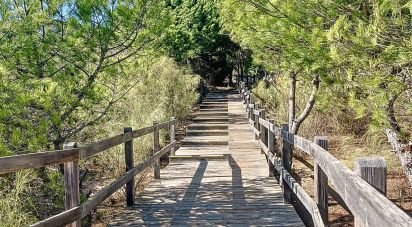 Traditional house T3 in Castro Marim of 120 m²