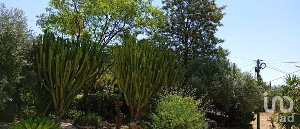 Mansion T3 in Mexilhoeira Grande of 315 m²