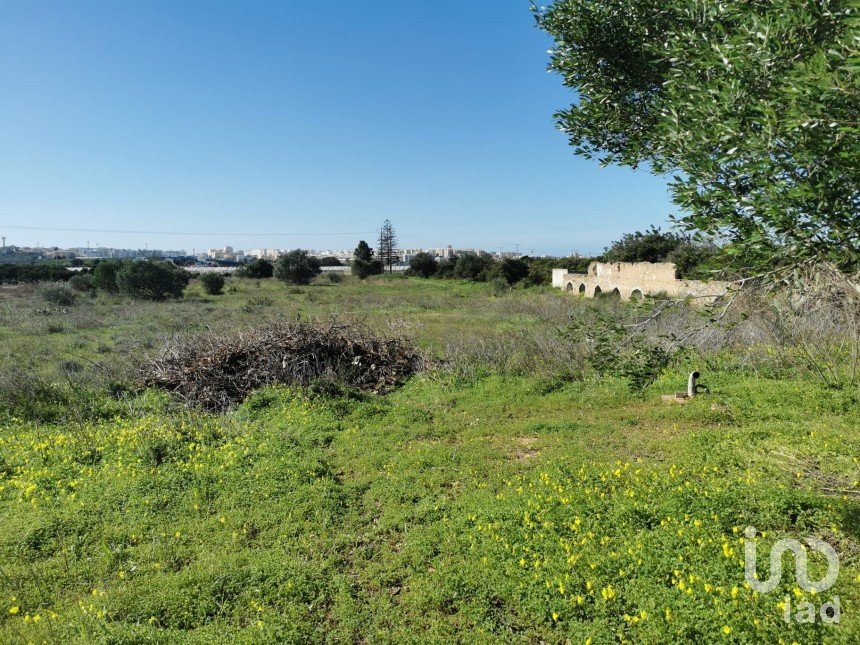 Terreno em Faro (Sé e São Pedro) de 10 440 m²