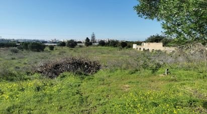 Terrain à Faro (Sé e São Pedro) de 10 440 m²